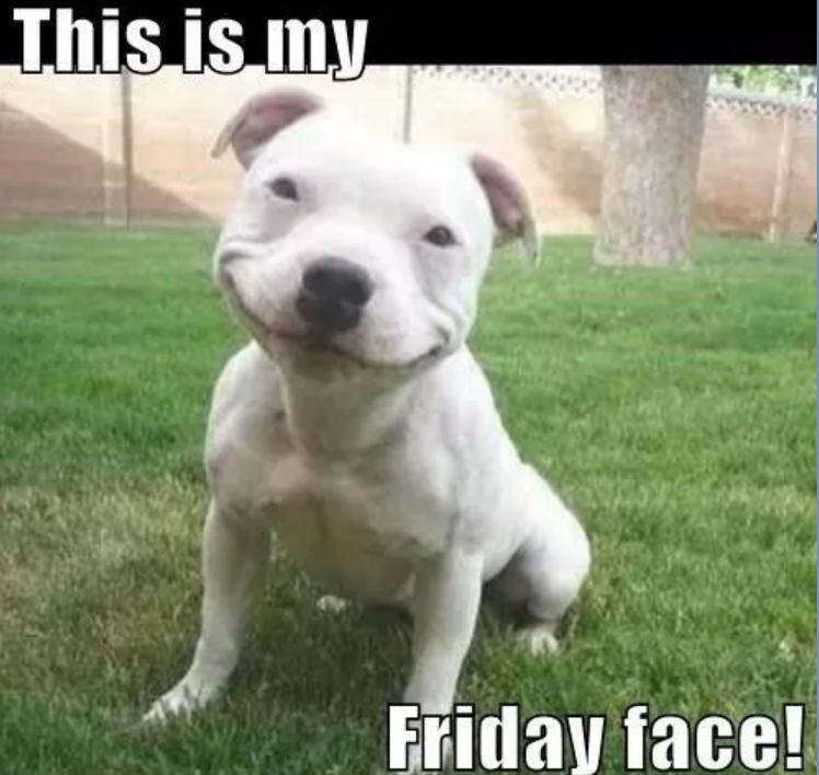 friday face